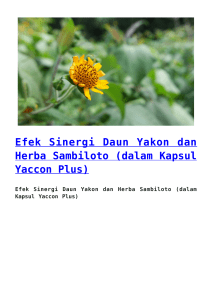 Efek Sinergi Daun Yakon dan Herba Sambiloto (dalam Kapsul