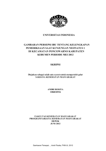 universitas indonesia gambaran persepsi ibu