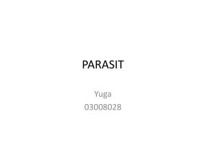 parasit - DoCuRi