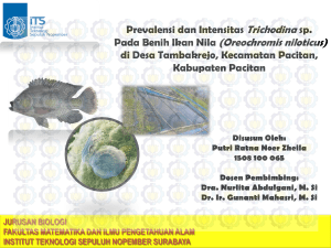 Pada Benih Ikan Nila (Oreochromis niloticus) - Digilib ITS