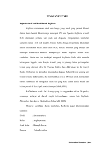 TINJAUAN PUSTAKA Sejarah dan Klasifikasi Ilmiah Rafflesia
