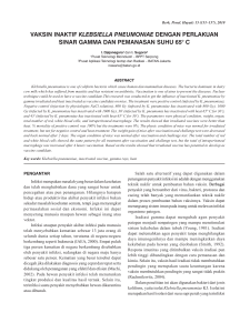 vAKSIN INAKTIF KlEBSiEllA PNEuMONiAE DENGAN PERLAKUAN