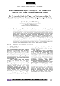 Analisis Fitokimia Daun Pepaya (Carica papaya L.)