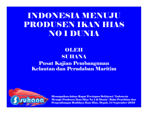 indonesia menuju produsen ikan hias no 1 dunia