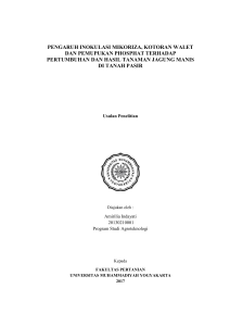 pengaruh inokulasi mikoriza, kotoran walet dan pemupukan