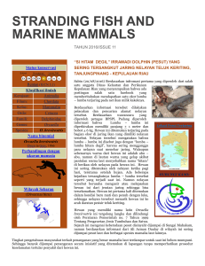stranding fish and marine mammals