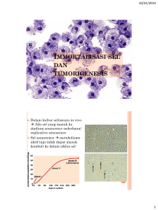 Immortalisasi sel dan tumorigenesis