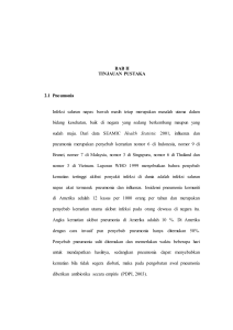 BAB II TINJAUAN PUSTAKA 2.1 Pneumonia Infeksi saluran napas