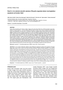Studi in vivo ekstrak etanolik ciplukan (Physalis