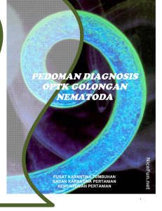 pedoman diagnosis optk golongan nematoda