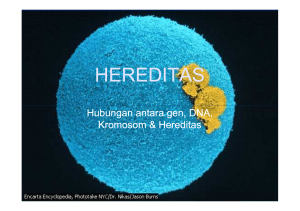 hereditas 2 [Compatibility Mode]