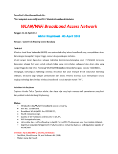 WLAN/WiFi Broadband Access Network