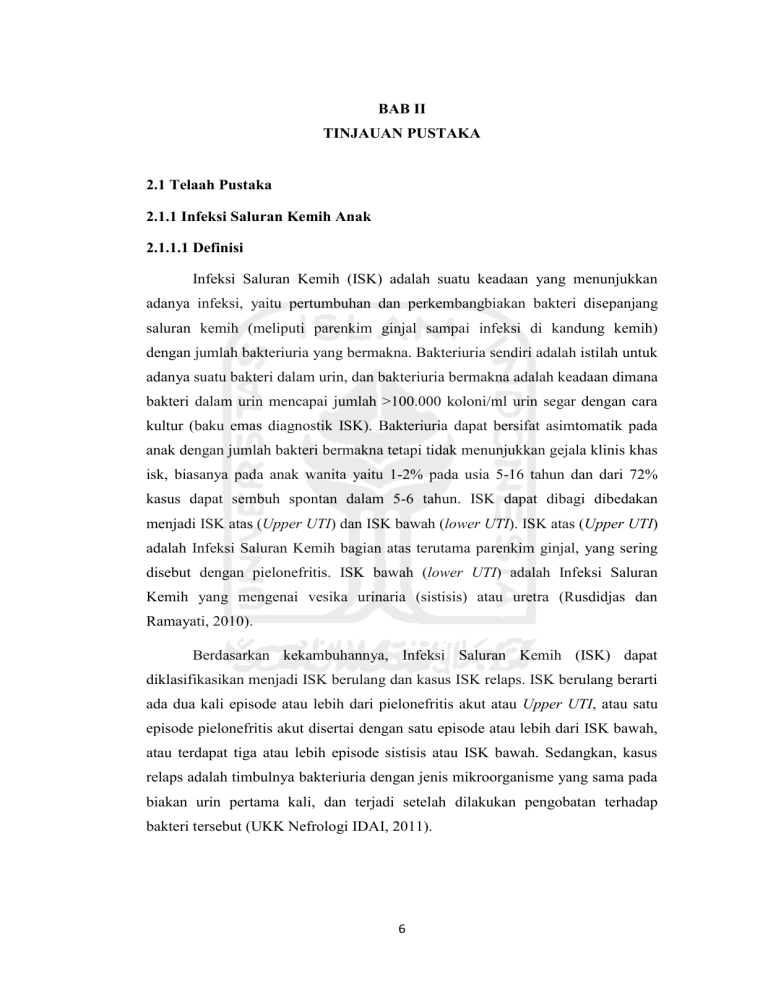 BAB II TINJAUAN PUSTAKA 2.1 Telaah Pustaka 2.1.1 Infeksi