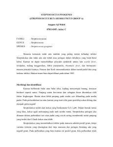STEPTOCOCCUS PYOGENES (STREPTOCOCCUS BETA