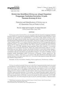Deteksi dan Identifikasi Dickeya sp. sebagai