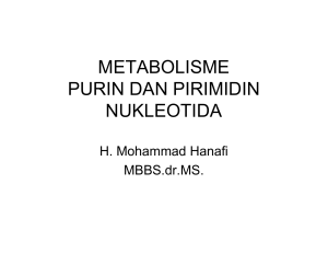 metabolisme purin dan pirimidin nukleotida
