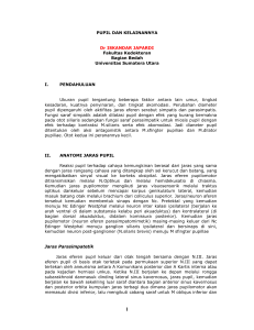 pupil dan kelainannya - Universitas Sumatera Utara