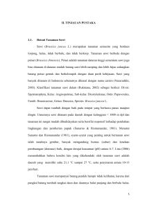 II. TINJAUAN PUSTAKA 2.1. Botani Tanaman Sawi Sawi (Brassica