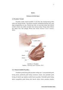 BAB 2 TINJAUAN PUSTAKA 2.1 Payudara Normal Payudara wanita
