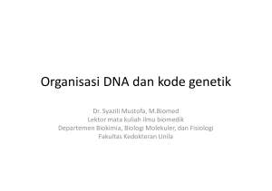 Organisasi DNA dan kode genetik