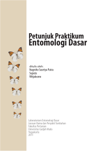 Petunjuk praktikum Entomologi Dasar
