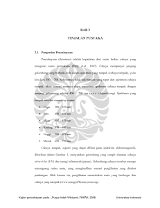 bab 2 tinjauan pustaka - Perpustakaan Universitas Indonesia