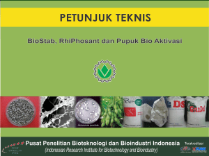 BioStab, RhiPhosant dan Pupuk Bio Aktivasi