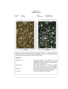 Lampiran 1.1 Analisis Petrografi