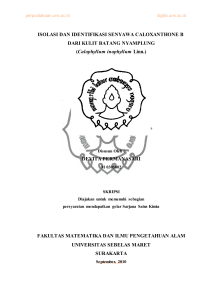 DARI KULIT BATANG NYAMPLUNG (Calophyllum inophyllum Linn