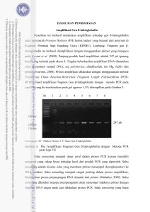 Identifikasi Keragaman Gen β-laktoglobulin pada Sapi Perah