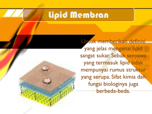 Lipid Membran - Direktori File UPI