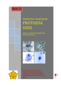 protozoa usus - RP2U Unsyiah