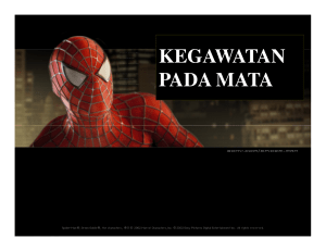 kegawatan pada mata