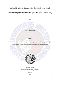 (Reduction of Cr(VI ) by Bacteria SpR3 and SpR17 on the Soil)