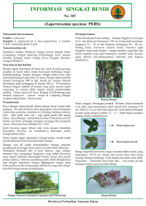 Bungur OK - Sistem Informasi Perbenihan Tanaman Hutan