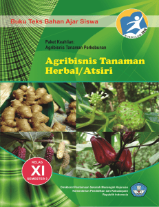 agribisnis tanaman herbal-atsiri xi-3