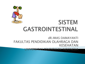 sistem gastrointestinal