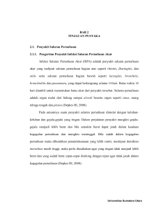 BAB 2 TINJAUAN PUSTAKA 2.1. Penyakit Saluran Pernafasan 2.1.1