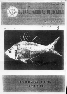 Chanda species(Glassfish)