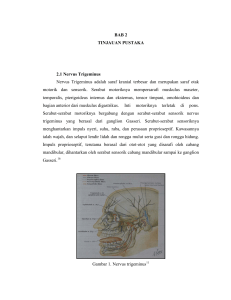 BAB 2 TINJAUAN PUSTAKA 2.1 Nervus Trigeminus Nervus