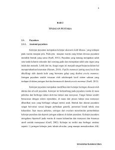 BAB 2 TINJAUAN PUSTAKA 2.1. Payudara 2.1.1. Anatomi payudara