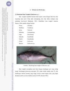 3 2 TINJAUAN PUSTAKA 2.1 Deskripsi Ikan