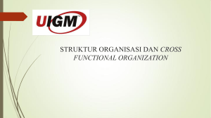 struktur organisasi dan cross functional organization