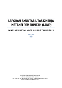laporan akuntabilitas kinerja instansi pemerintah (lakip)