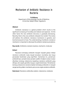 Mechanism of antibiotic resistance in bacteria