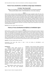 Smallanthus sonchifolius - Jurnal Fakultas Kedokteran Universitas