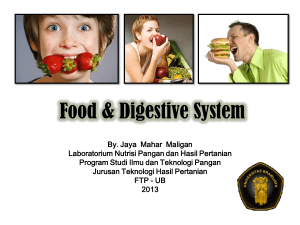 Food, Eat and Digestive System
