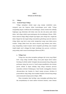 BAB 2 TINJAUAN PUSTAKA 2.1. Telinga 2.1.1. Anatomi Organ