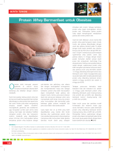 Protein Whey Bermanfaat untuk Obesitas