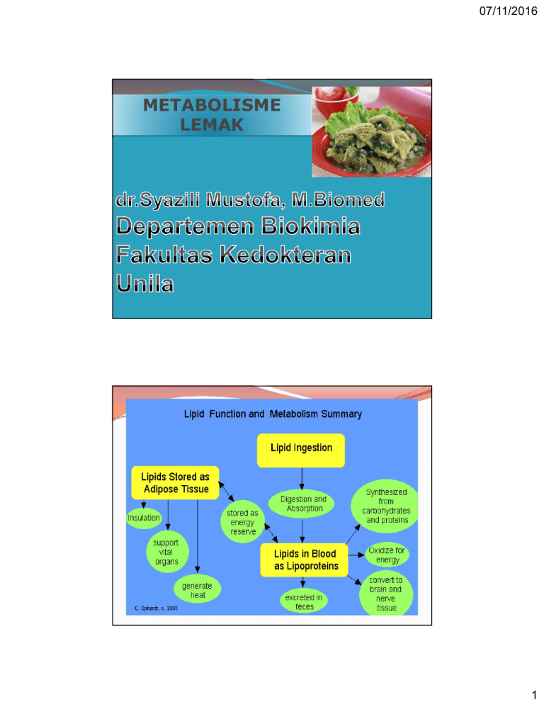 Metabolisme Lemak